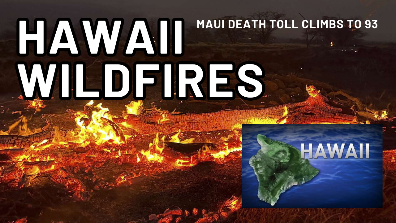 Navigating the Devastation and Recovery Efforts of the Maui Wildfire